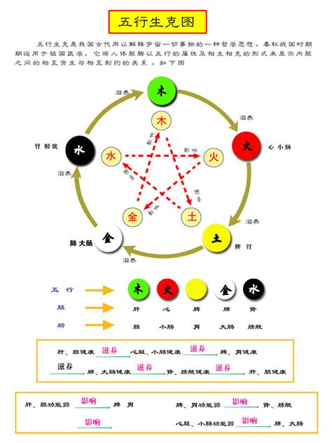 五行木色|【五行木代表什麼顏色】三界五行 